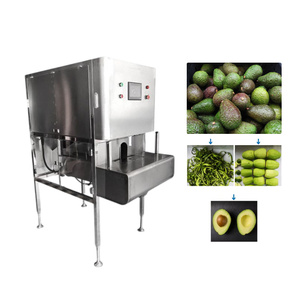 Ligne de production d'huile d'avocat vierge automatique Olive Tech 12-200 kg/h avec élimination des pépins et des peaux, en acier inoxydable - Product Image 5
