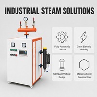 Générateur de vapeur au gaz pour usine chimique, machine industrielle à haut rendement thermique