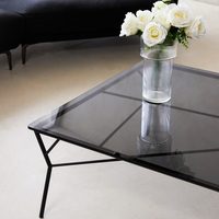 Table basse carrée en verre noir moderne au design italien pour l'appartement, le café, l'extérieur et le jardin.