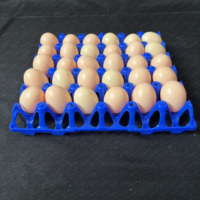 Caisse à œufs de transport en plastique bon marché caisse de transport d'œufs de poule caisses de transport d'œufs à vendre