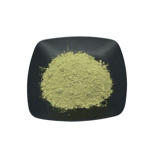 Poudre de coriandre lyophilisée, matière première de qualité alimentaire, facile à dissoudre et à colorer - Product Image 1