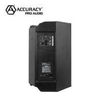 Precision Pro Audio CBG15D3 plastique épais 2 voies 500W DJ fête en plein air PA boîte de haut-parleurs actifs 15 pouces haut-parleurs alimentés professionnels