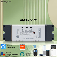 Module de relais intelligent Wi-Fi AC/DC 7-32V à 2 canaux, télécommande sans fil pour l'automatisation, compatible Alexa, expédition immédiate