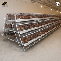 Équipement d'élevage avicole : Système d'élevage en batterie pour poules pondeuses et système d'élevage en étages pour poulets de chair, avec cages à œufs résistantes à la corrosion pour poules pondeuses