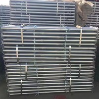 Étais de soutènement réglables en acier robuste, capacité de charge 800 kg, vérins galvanisés pour la construction au Nigeria, au Ghana et en Afrique de l'Ouest