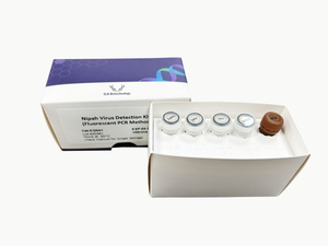 Kit de Preparación de Plásmidos de Alta Calidad, Gran Venta para Investigación - Product Image 2