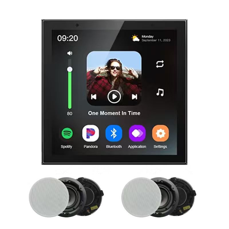 LUONA Tuya Smart Life 86N 4 Inch IPS Smart Screen for Gateway Panel Music Center with Built-in Amplifier for Home