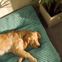 Gros Coussin Détachable pour Chien de Lit pour Animaux de Compagnie