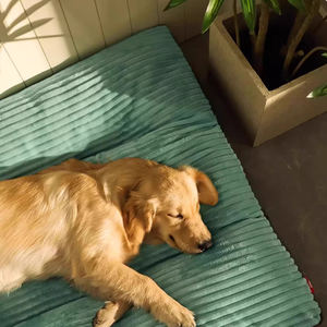 Cama Grande Desmontable Para Mascota Cojín Para Perro Al Por Mayor - Product Image 3