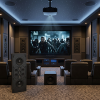 Subwoofer Profesional de Alta Potencia para Cine en Casa, Sistema de Audio para Teatro en Casa, Diseño de Arreglo de Altavoces de Baja Frecuencia