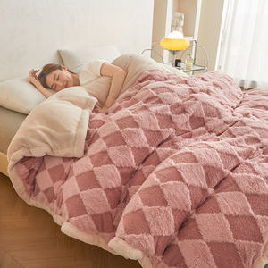 Soft Jacquard <strong>Double</strong> Layer <strong>Teddy</strong> Milk <strong>Fleece</strong> Blanket Throw Solid Flannel <strong>Fleece</strong> <strong>Double</strong> Bed Cover for Four Seasons Travel Air - Product Image 1