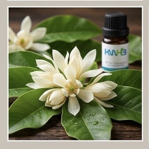 Aceite Esencial Puro de Champaca Blanca KWHB 5ml, Extractor Herbal para Uso Doméstico, Producto de Tailandia - Product Image 5
