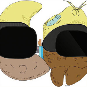 Parasoles Retráctiles para Parabrisas <span class=keywords><strong>de</strong></span> Coche, 4 Piezas, para Niños, Compatibles con Mazda CX-3 y Ford, Material <span class=keywords><strong>de</strong></span> Malla, Marca XiangTa, Gran Venta 2023 - Product Image 2