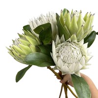 Nouvel Arrivage en Gros : Fleur de Phalaenopsis en Soie de Haute Qualité, Écologique, pour Restaurants, Mariages et Décoration Intérieure