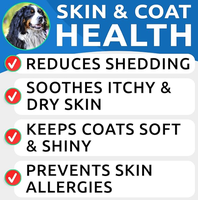 Poudre Probiotique Prébiotique pour Chiens – Haute teneur en protéines, absorption rapide, complément sûr pour la santé digestive, Oméga-3 pour l'intestin, l'immunité et les articulations