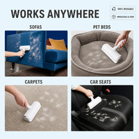 Nouveaux gants et rouleaux puissants et écologiques pour l'élimination des poils d'animaux de petite taille, outil de toilettage en plastique de style chinois pour canapé et tapis