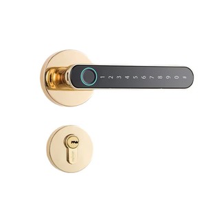 Giá thấp thiết kế sáng tạo điện tuya Wifi ứng dụng điều khiển từ xa Brass vân tay xử lý thẻ khóa + mã + Key mở khóa - Product Image 1