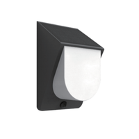 Lampe murale solaire IP54 avec capteur de proximité optique, portée de détection 5-6m, mono silicium, LED 0.2W, 3 CCT, liaison 2.4G, pour extérieur et jardin