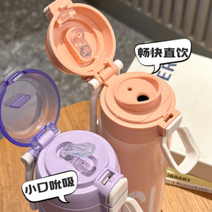 Stainless Steel Insulated Water Bottle 500Ml Portable Sports Bottle For Outdoor Travel School Use With Screw Cap - Product Image 3