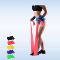 Bandas de resistencia personalizadas, juego de bandas elásticas de ejercicio para recuperación, terapia física, Yoga, Pilates, rehabilitación, entrenamiento de fuerza