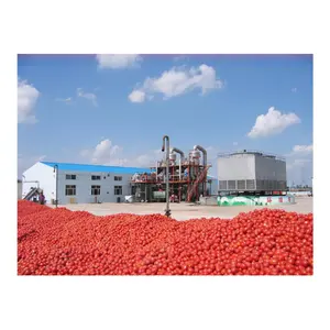 Teknologi Baru Efisiensi Tinggi Lini Produksi Mesin Pembuat Pasta Tomat