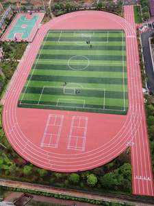 INOLP Prefabricado Running Track Alfombra Suelo deportivo para atletismo Running Track - Product Image 4