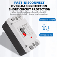 Disjoncteur solaire à boîtier moulé DC (MCCB) avec protection contre les surcharges, interrupteur de protection photovoltaïque (PV) 150A 250A 2P, isolateur de batterie