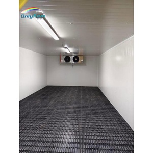 Chambre <span class=keywords><strong>froide</strong></span> <span class=keywords><strong>positive</strong></span>, chambre de refroidissement pour fruits et légumes, congélateur négatif, chambre de congélation pour poissons, fruits de mer, viande, bœuf - Product Image 4