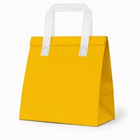 Sac isotherme non tissé personnalisé avec impression OEM pour la livraison de nourriture, de café et de boissons, jetable