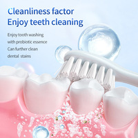 Poudre blanchissante pour les dents HIH Wholesale Yellow Removal Cleaning Teeth Stains Mint Flavor Fresh Breath Probiotics Brightening Teeth Powder