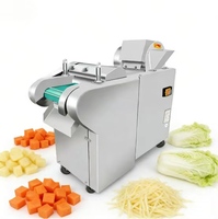 Voedselverwerkingsbedrijf Arbeidsbesparende Multifunctionele Groentesnijmachine Elektrische Shredder Snijmachine