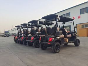 Buggy Eléctrico Turístico de 6 Plazas, Cabina Espaciosa, Carrocería Antioxidante, Funcionamiento Suave – Muy Popular en Mercados Globales - Product Image 2