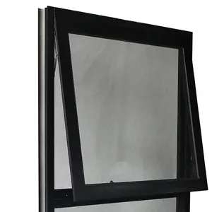 Luifel Glas Venster Aluminium Genezen Top Dakramen Dak Windows Polycarbonaat Dakraam Dakbedekking Voor Huis