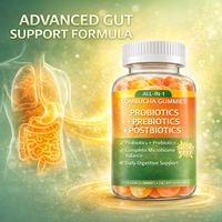 Gummies Kombucha Tout-en-un Probiotiques Prébiotiques Postbiotiques Sans Sucre Complément Santé Intestinale OEM