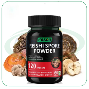 Areson oem/odm reishi <span class=keywords><strong>spore</strong></span> פטריות לחלץ קפסולות מורכבות תוספי תזונה reishi - Product Image 1