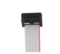 Câble plat IDC gris 2,54 mm avec numéro de broche personnalisé, longueur sur mesure, connexion prise-prise pour utilisation informatique
