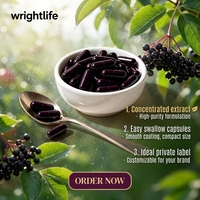Capsules d'extrait d'églantier noir, complément alimentaire à base de plantes, formule personnalisée sous marque privée, pour adultes, fabrication OEM, approvisionnement en gros