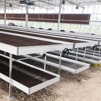 Landbouw Groeiende Enkelspannings Grote Hydroponische Systeem Draadgaas Automatische Roltafels Tafel PE Materiaal Verplaatsbaar Op Maat Gemaakt