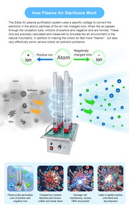 Système <span class=keywords><strong>d</strong></span>'ionisation bipolaire Technologie de purification <span class=keywords><strong>d</strong></span>'<span class=keywords><strong>air</strong></span> au plasma 10W adaptée à la <span class=keywords><strong>climatisation</strong></span> centrale - Product Image 4