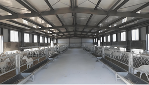 Bâtiment de ferme avicole préfabriqué en structure métallique - Product Image 2