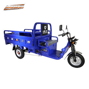 가장 인기있는 500kg 60KM 1200W 전기 3 륜 레드 DR 콩고에 대한 공급 업체 배송 준비 - Product Image 3