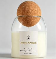 Bougie parfumée en verre à la cire de soja sans fumée MSDS CE 280g, ambiance maison, cadeau, emballage personnalisé, fournisseur en gros