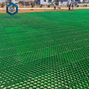 Grille en Polyester, sol en plastique emboîtable pour Parking, Noble, toit, <span class=keywords><strong>jardin</strong></span>, PE, paveur d'herbe - Product Image 5