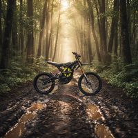 2026 Surron LBX en stock Moto tout-terrain électrique Light Bee X Ebike Sur Ron