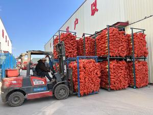 2025 Nova Colheita de Sinofarm Marca Fresca Cebolas Vermelhas e Cebola Amarela Branco Preço Por Tonelada na China De Sementes De Cebola Exportador - Product Image 3