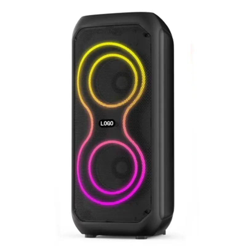 2024 Nouveau haut-parleur karaoké portable double 4 pouces 20W RMS avec microphone