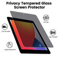 Protector de Pantalla de Vidrio Templado 2.5D Anti-Espía 9H para iPad Pro 11 20-25 Air 13 Pulgadas, Venta al Por Mayor de Fábrica