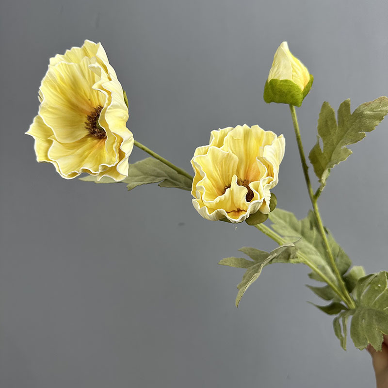 Eva 3-head large poppy-beige 2