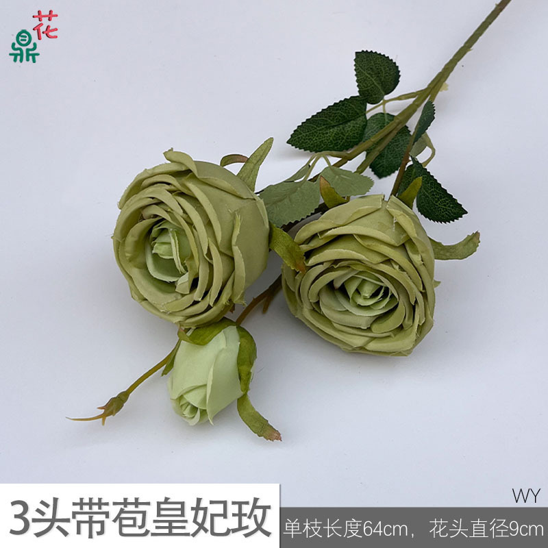 Rose royale WY Green à trois têtes, en bouton.