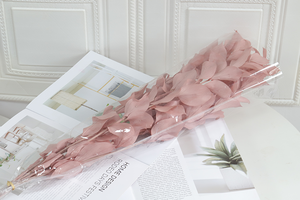 Nuevo Estilo de Hoja de Naranja Preservada Hecha a Mano para Decoración Navideña, Día de San Valentín, Decoración del Hogar, Arreglos Florales para Bodas, Regalo Perfecto para - Product Image 6